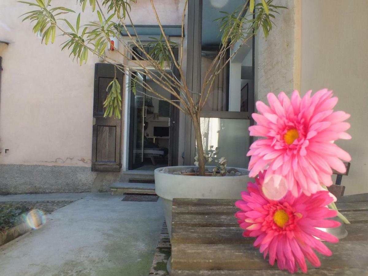 Loft Garden In Bologna'S Heart Ospedale Rizzoli Appartement Buitenkant foto